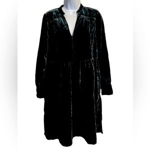 Anthropologie Holding Horses Velvet dress